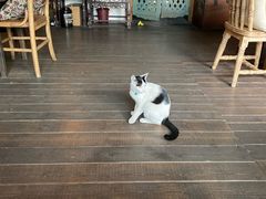 -BUND·FIVE外滩5号(天际店)