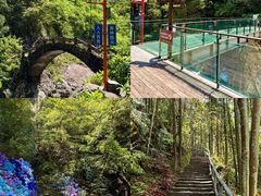 -龙湾潭国家森林公园