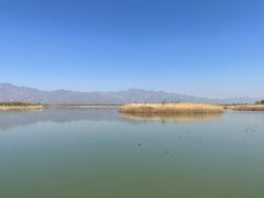 -野鸭湖国家湿地公园