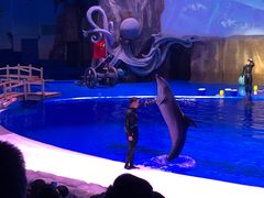 -华夏文旅海洋公园