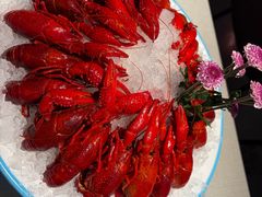 -杨氏青龙虾·羊蝎子(金盛路总店)