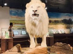 -陕西自然博物馆