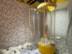 -不可思议减压馆·解压博物馆·摔碗发泄·团建定制