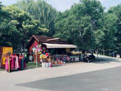 -长白岛森林公园