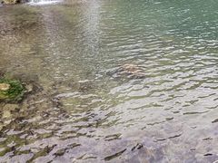 -天河潭旅游度假区