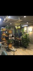 -藤野造型