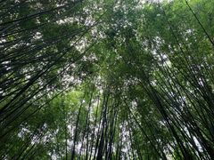 -英西峰林·洞天仙境