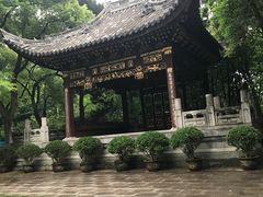 -汇龙潭