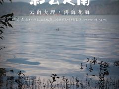 -大理洱海
