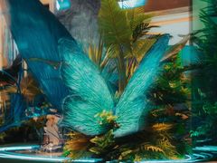 -杭州平安悦坊 PAFC LIVING