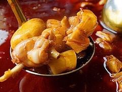 -水碾河肥兔火锅(水碾河店)