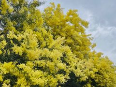 -厦门国家会计学院