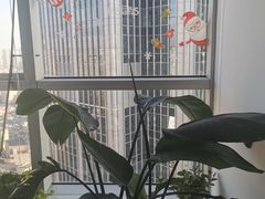 -新航道雅思托福·留学·考研培训(人民广场校区)
