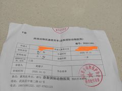 -奈斯宠物医院·核磁CT·异宠专科·内镜(中南店)