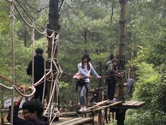 -梦幻奥陶纪景区