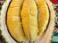 -都念榴莲·城市榴莲