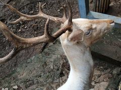 -昆明动物园
