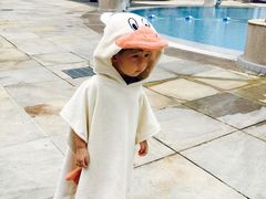 -新加坡瑞士史丹福酒店