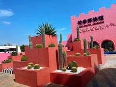 -漳州滨海火山岛自然生态风景区