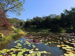 -云溪植物园