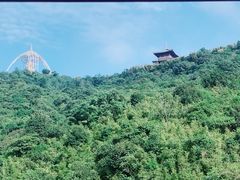 -深圳东部华侨城瀑布酒店