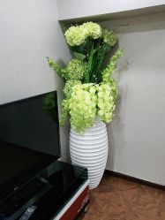 -熙朵美学植发连锁