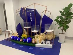 -云南吴氏嘉美医疗美容医院