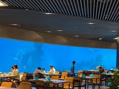 -涛·海底餐厅·美人鱼·自助餐·海底隧道(三亚海棠湾洲际度假酒店)