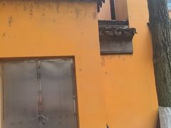 -亭林园-华藏寺