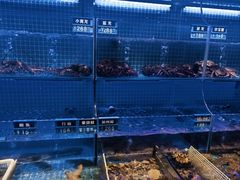 -启东小海鲜(庄先湾路1号店)