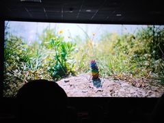 -金逸影城(大悦城IMAX激光店)