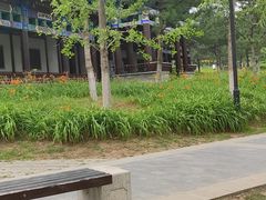 -舍利塔滩地公园-无垢净光舍利塔