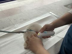 -申普宠物医院·眼科·心内科·影像科(普陀分院)