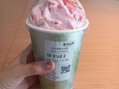 -雾与山茶(大禹城店)