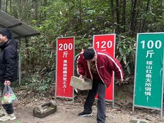 -九龙江国家森林公园