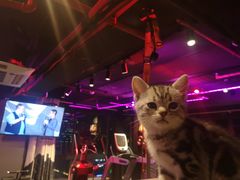 -NRG 健身私教CLUB(云山路店)