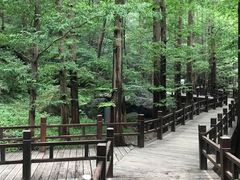 -牛角村(大族广场店)