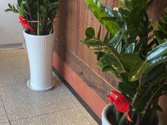 -老村长•湖北家常菜(南湖店)