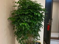 -感智盲人按摩·艾灸·肩颈SPA(岗厦店)