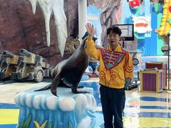-海合安成都极地海洋公园
