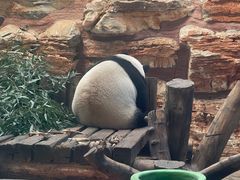 -石家庄市动物园