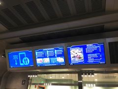 -奥兰多迪士尼动物王国乐园