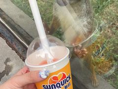 -石家庄市动物园