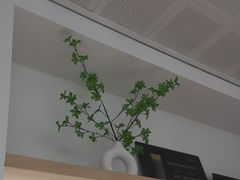 -极简口腔(总院)