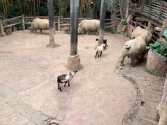 -长鹿旅游休博园