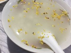 -老品芳