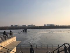 -大兴滨河森林公园