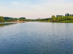 -东郊湿地公园