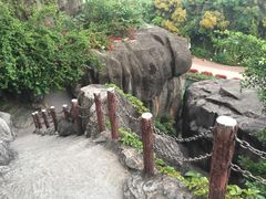 -金鸡山公园