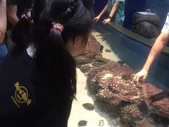 -无招牌海鲜餐厅(滨海艺术中心店)